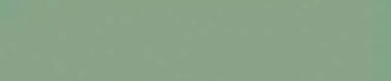 5STP28/1C Бордюр Light Green 13,7x2,1