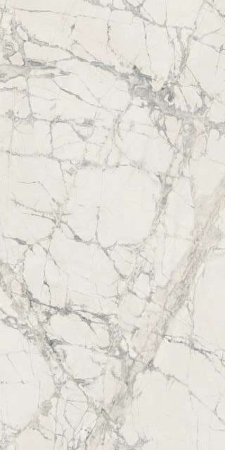 Prexious Mountain Treasure Glossy
