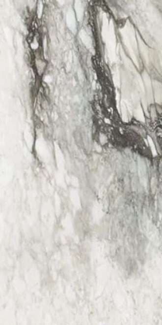 Etoile Renoir mat 60x120 ret
