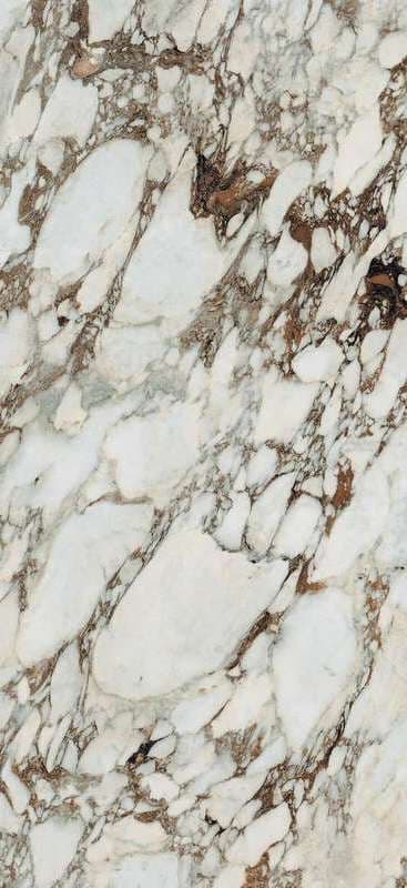 Les Bijoux Breche Capraia Glossy 120x280 R