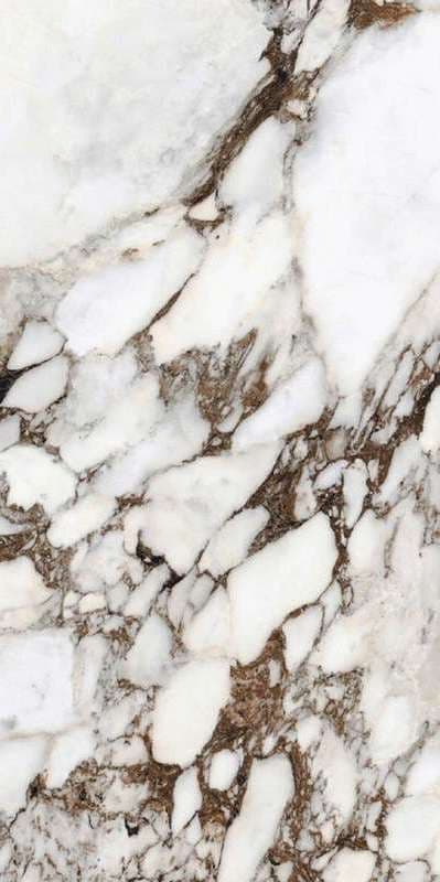 Les Bijoux Breche Capraia Glossy 120x240 R