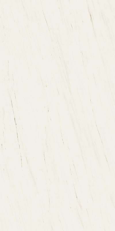 Керамогранит Bianco Dolomite Polished 12 mm ST (AAVG)