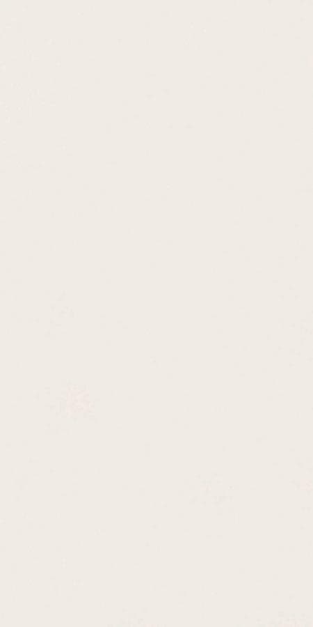 Керамогранит Absolute White Matte 160x320