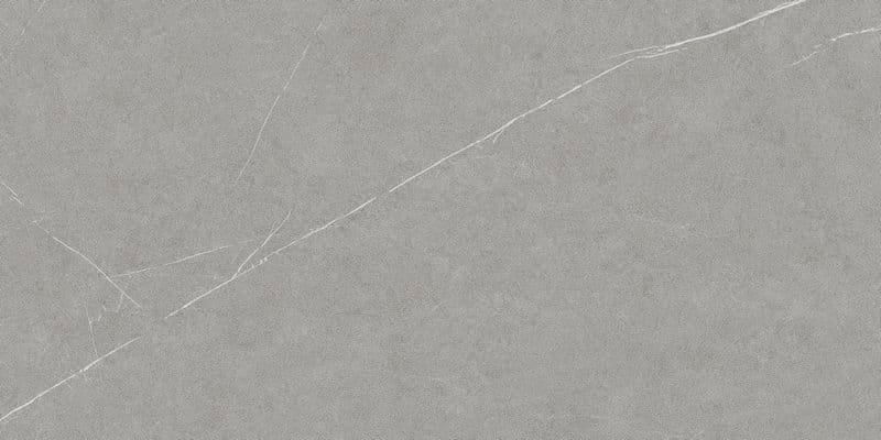 Allure Grey Ductile 60x120