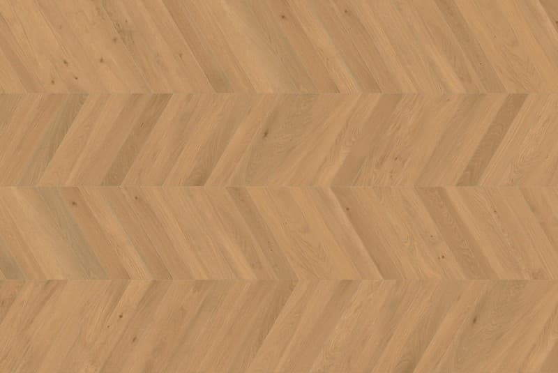 Коллекция Log