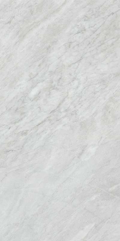 Bardiglio Silver Silk RT 60x120