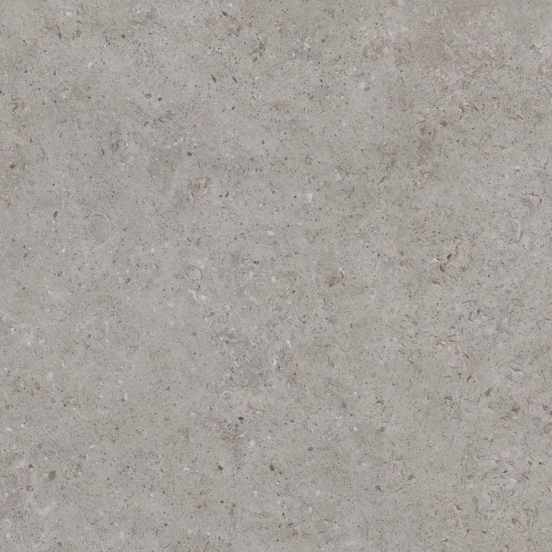 Beren Greige Honed 120x120