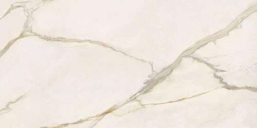 Calacatta Gold Lap Rt 278x120