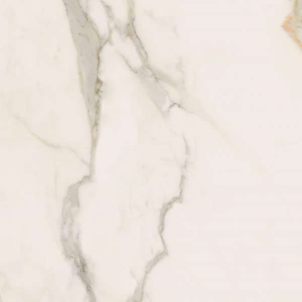 Calacatta Gold Nat Rt 60x60