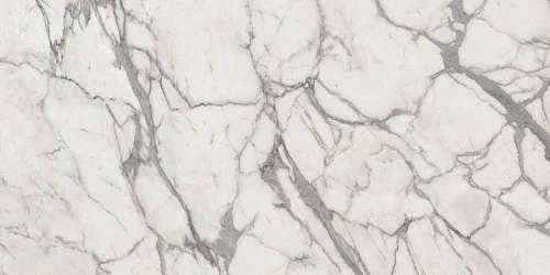 Calacatta Lap Rt 278x120