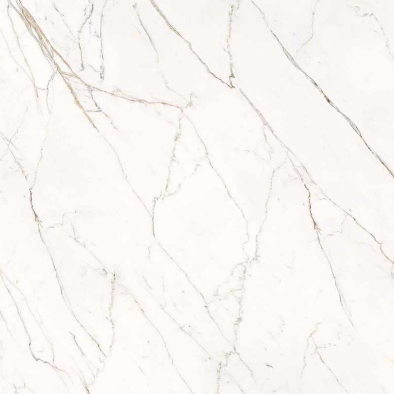 Calacatta Statuarietto Lappato 120x120