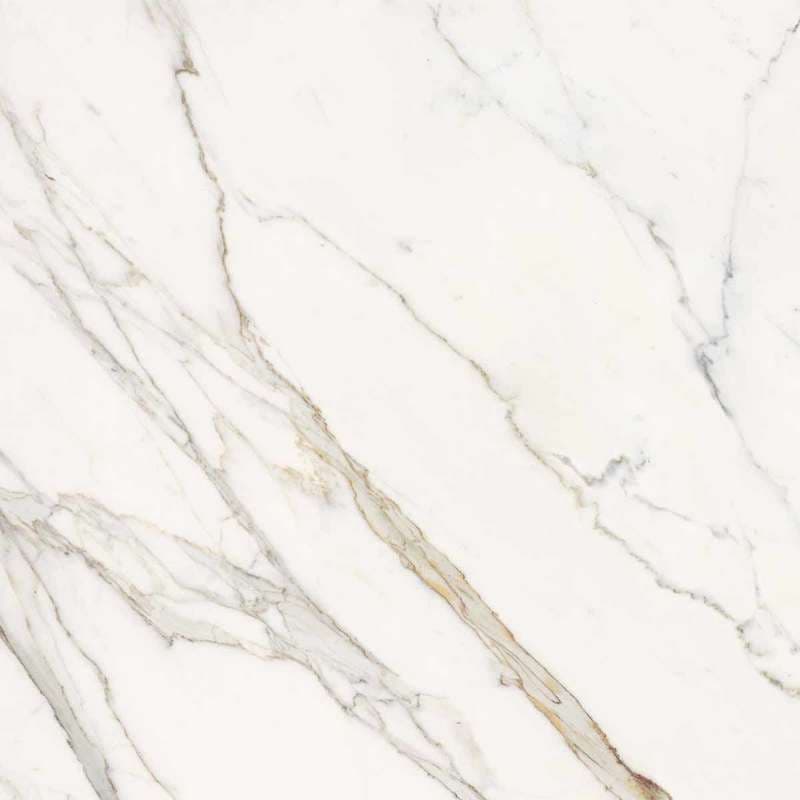 Calacatta Statuarietto Lappato 60x60