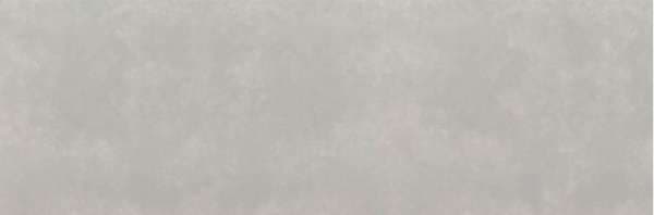 Concrete Gris 100x300