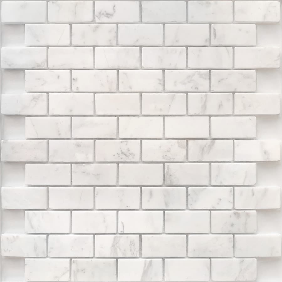 Dolomiti bianco POL 23x48x7