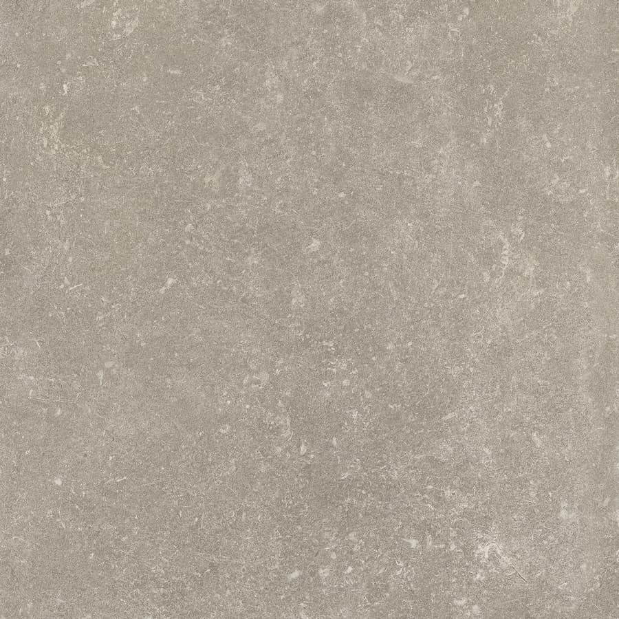 Ever-Stone Grey  60x60