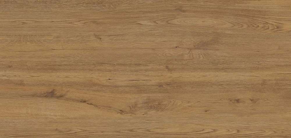 Jungla Iroko 120x260