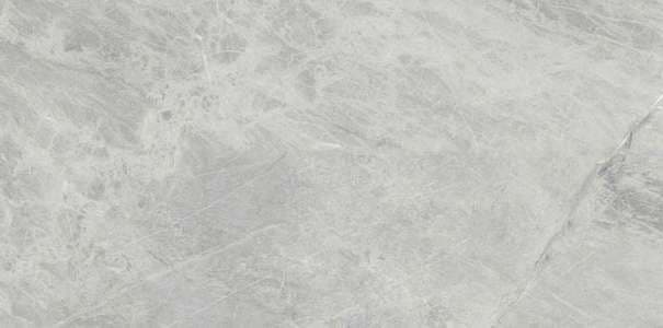 Керамогранит Ariostea Marmi Classici Gris De Savoie Luc Shiny