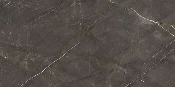 Керамогранит Ariostea Marmi Classici Pulpis Grey Luc Ret