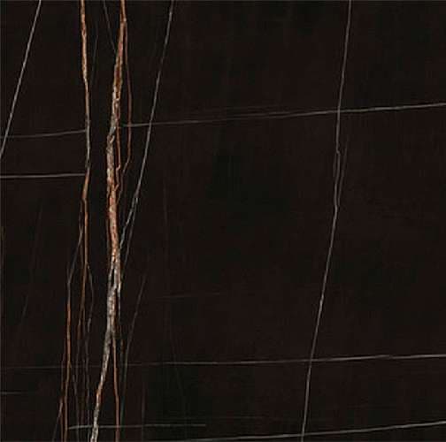 Керамогранит Ariostea Ultra Marmi Sahara Noir Lev Silk 120x120