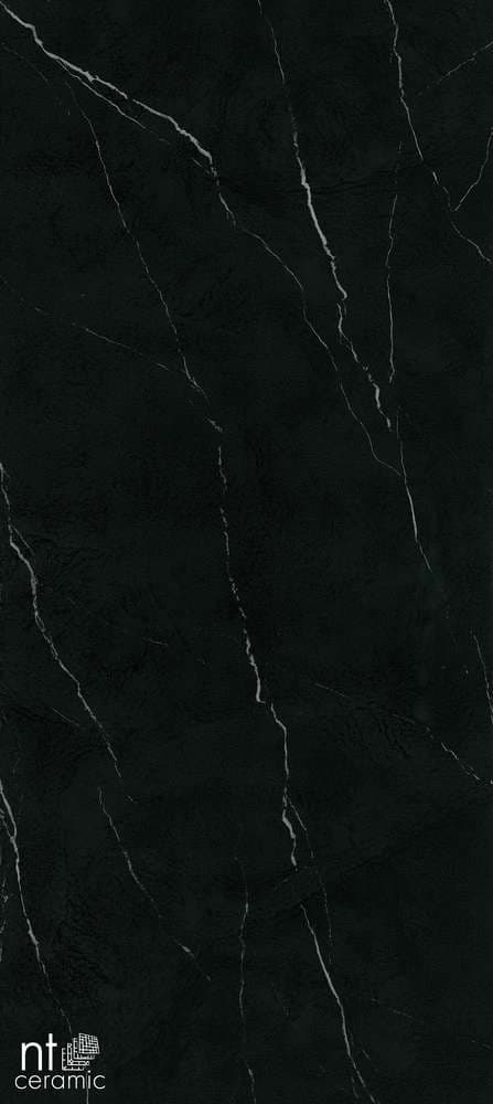 Atlas Home Nero Marquina 120x270