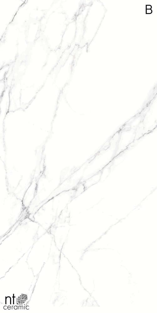 Atlas Home Calacatta Light 120x270