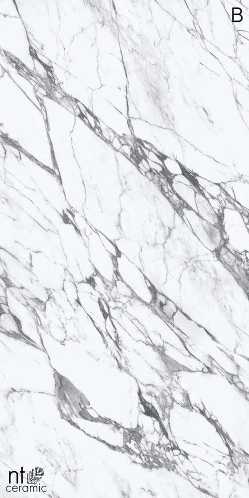Atlas Home Calacatta Rock 120x270