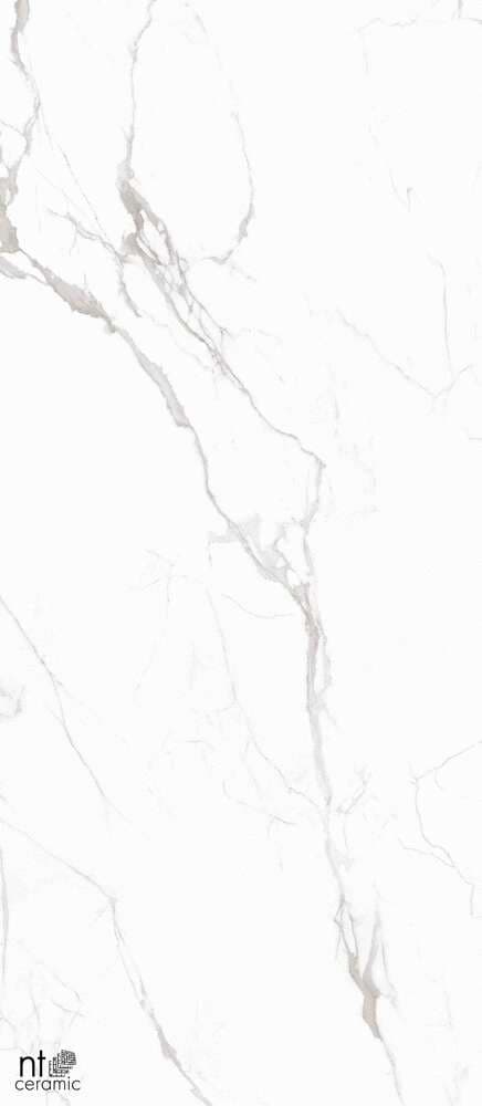 Atlas Home Marble White Полированный 120x280