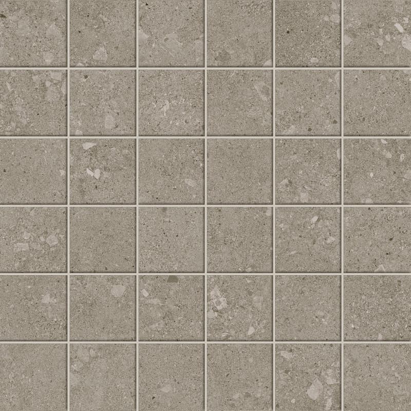 Rin.Fu. Agglom. Dark Mosaic