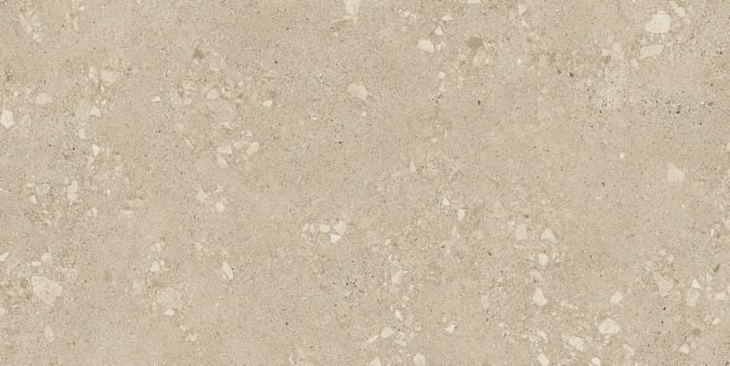 Rin.Fu. Agglom. Light 60x120