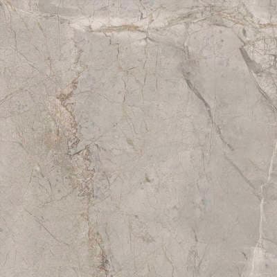 Silver Grey Silk 60x60