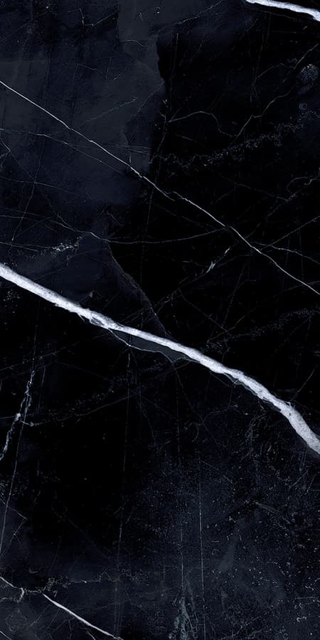 Tele Di Marmo Revolution Calacatta Black Lappato 30x60